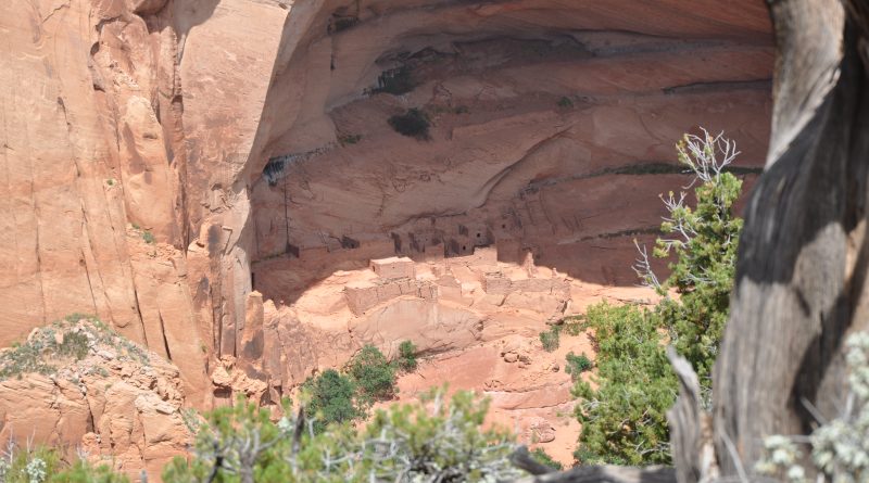 Indianer landsby – Navajo national monument