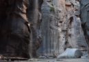 Flodvandring The Narrows Zion