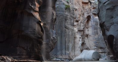 Flodvandring The Narrows Zion
