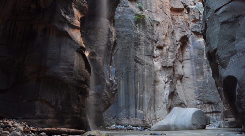 Flodvandring The Narrows Zion