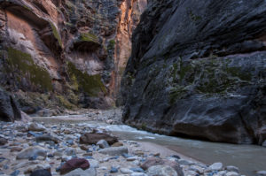 Flod i Zion National Park