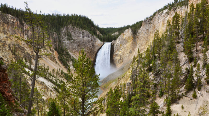 Yellowstone nationalpark